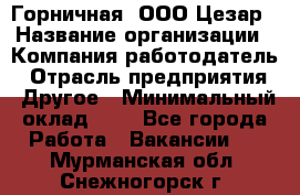 Горничная. ООО Цезар › Название организации ­ Компания-работодатель › Отрасль предприятия ­ Другое › Минимальный оклад ­ 1 - Все города Работа » Вакансии   . Мурманская обл.,Снежногорск г.